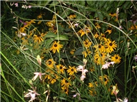 6686516b-Picture 6277.jpg